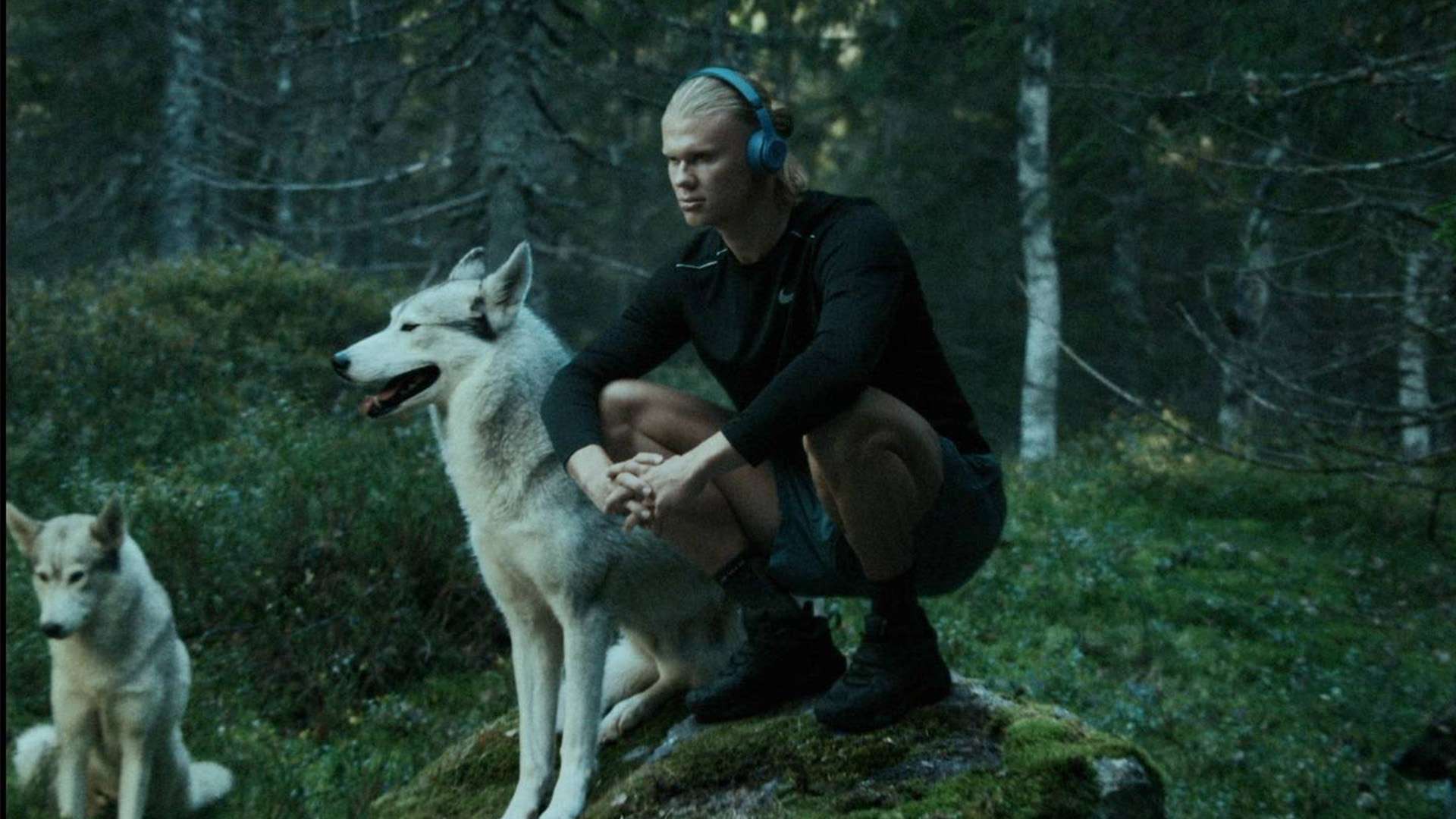 英超第14輪阿森納5-0諾丁漢森林 尼爾森替補登場2球1助攻.